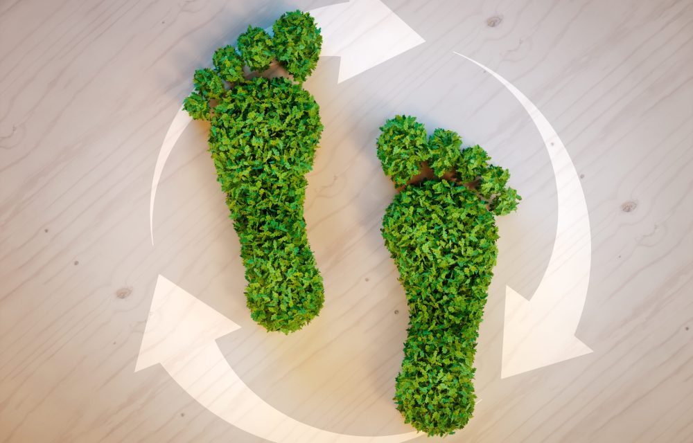 Green footprint concept